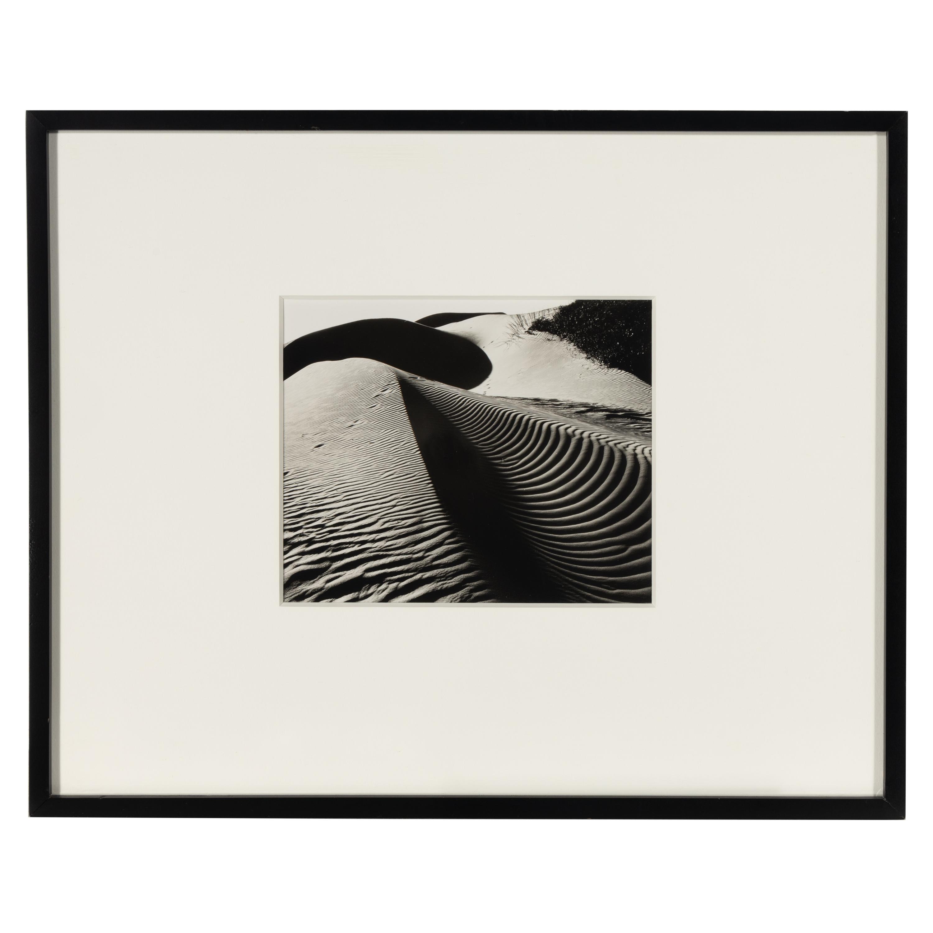 Dune , 1934