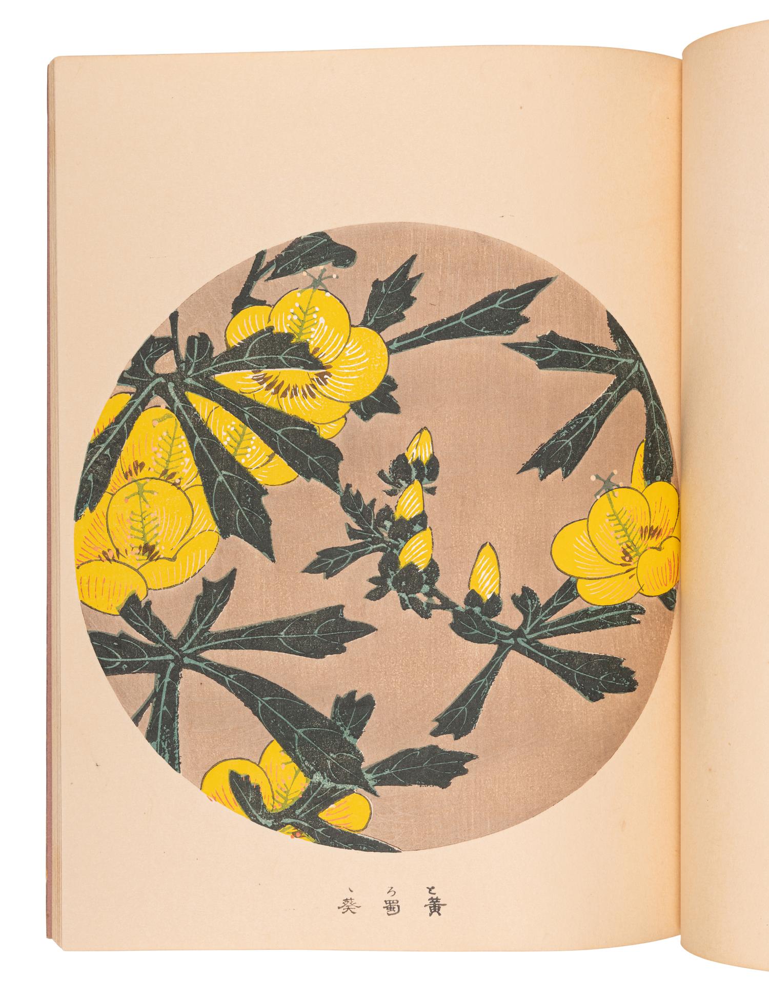 [ITŌ Jakuchū] (1716-1800), artist. [KONDŌ Tokutarō], editor. [Jakuchū Gafu, J akuchū Picture Book/Album ]. Kyoto: [Unsōdō], Meiji 41 [1908].