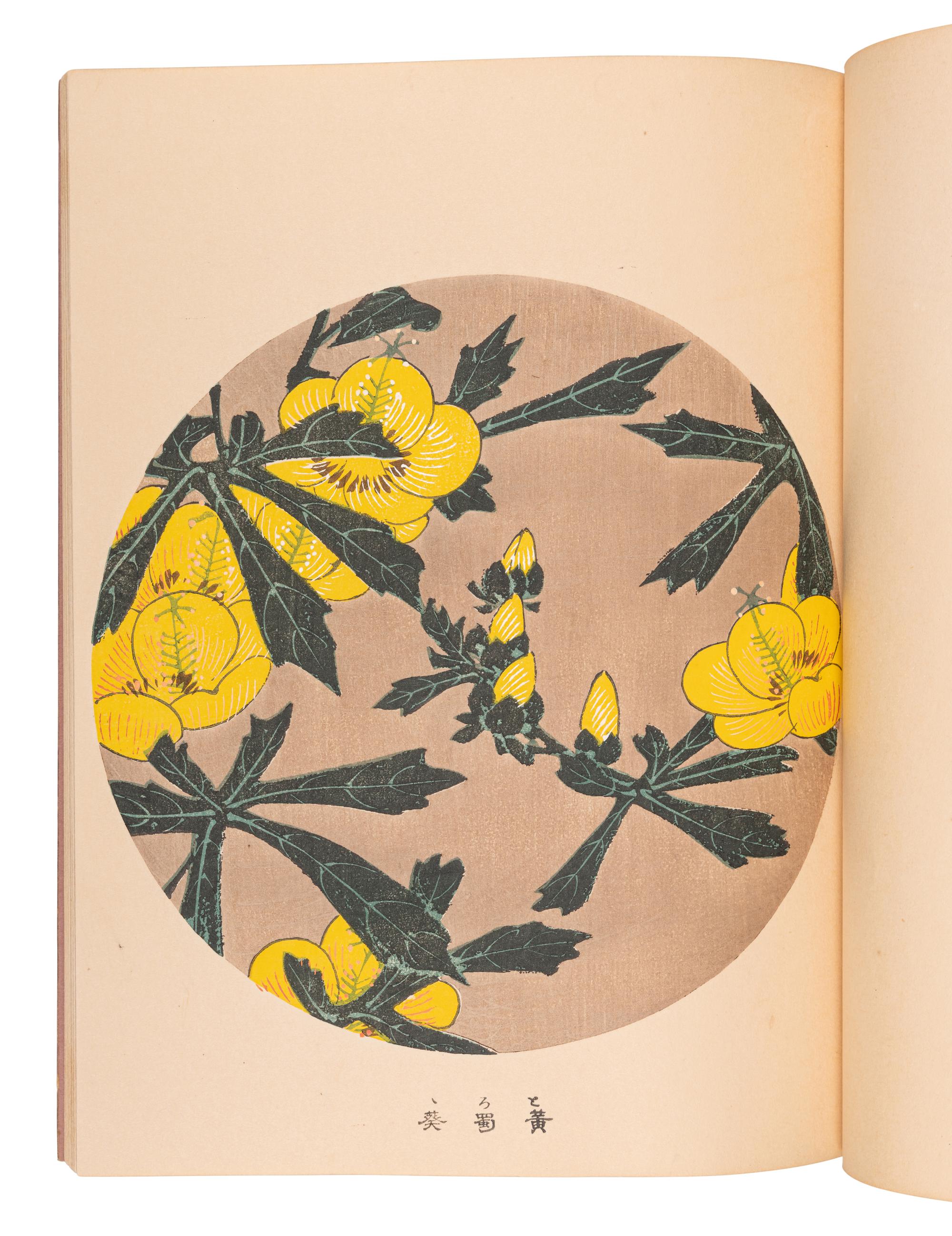 [ITŌ Jakuchū] (1716-1800), artist. [KONDŌ Tokutarō], editor. [Jakuchū Gafu, J akuchū Picture Book/Album ]. Kyoto: [Unsōdō], Meiji 41 [1908].