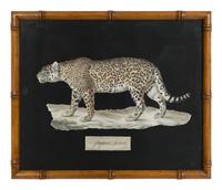 A Collection of Four Large Cat Prints
