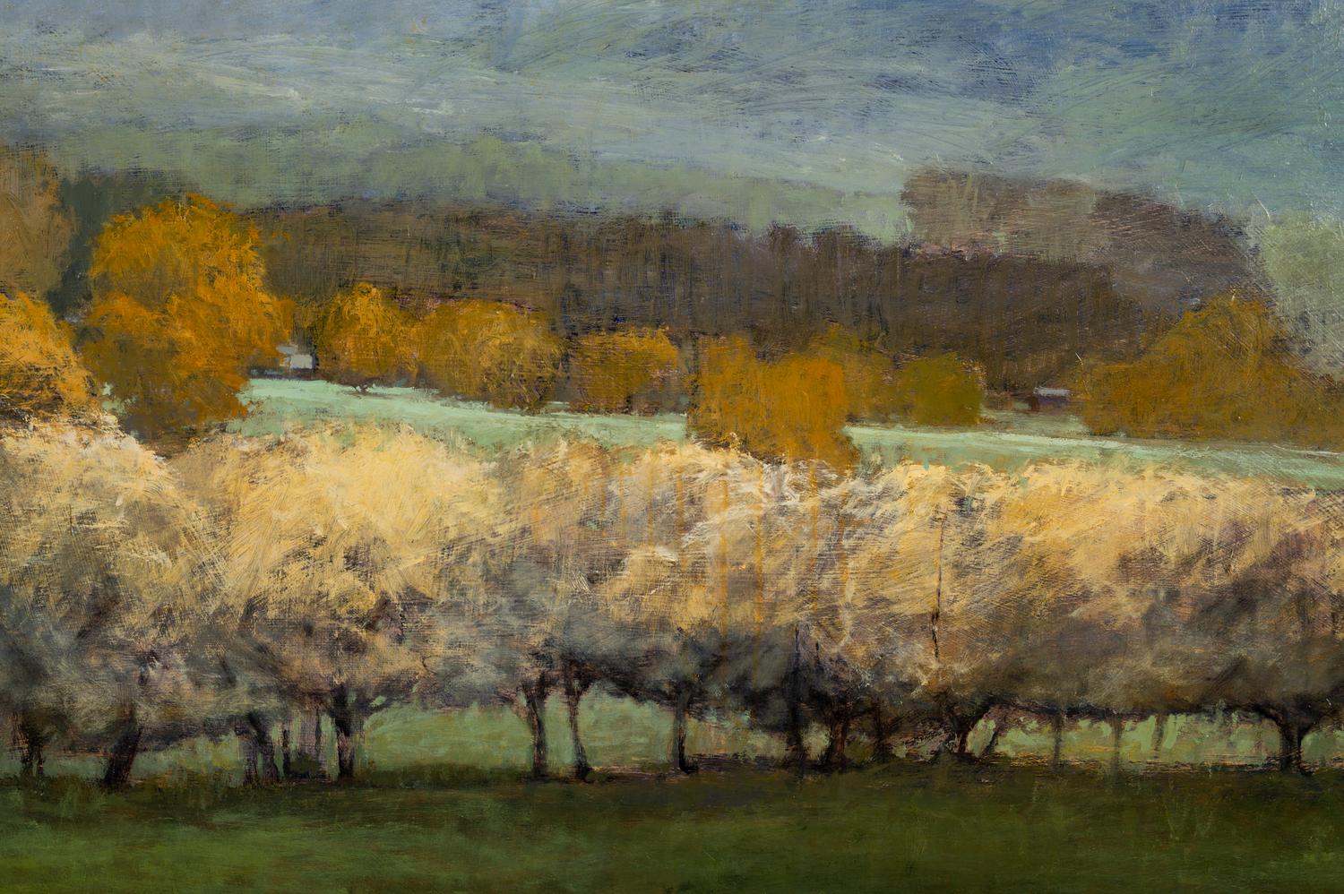 Pastoral View