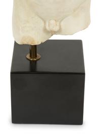 A Continental Carved Marble Male Torso