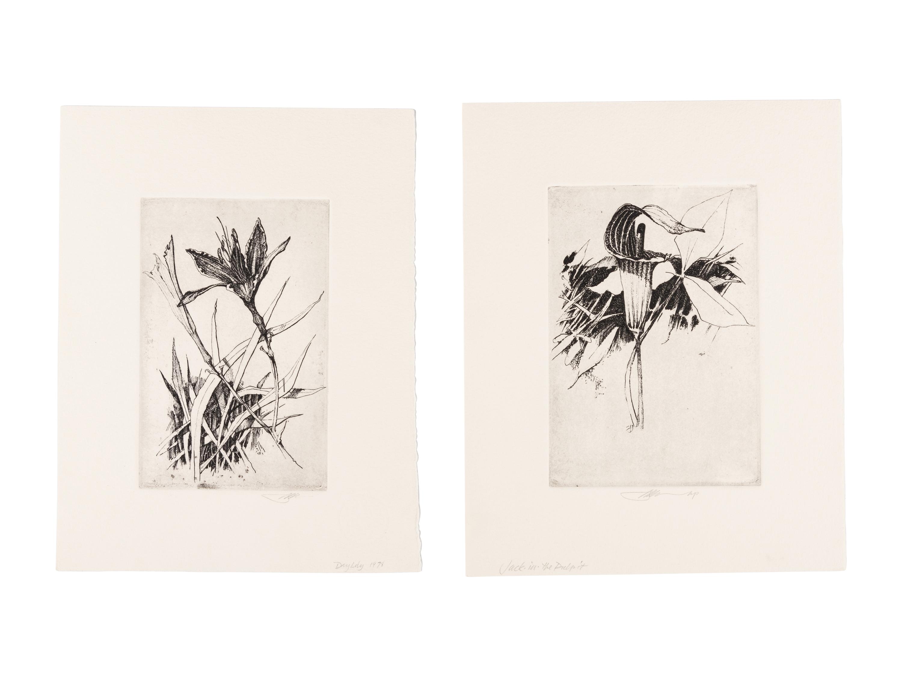 MOSER, Barry. Jack-in-the-Pulpit. [ca 1979]. 283 x 227 mm. Etching. Captioned and signed in pencil, designated artist’s proof (“ap”). — Common Day Lily. 1978. 278 x 213 mm. Signed, captioned and dated in pencil.