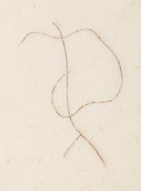 Drawing for Vine (Willow)