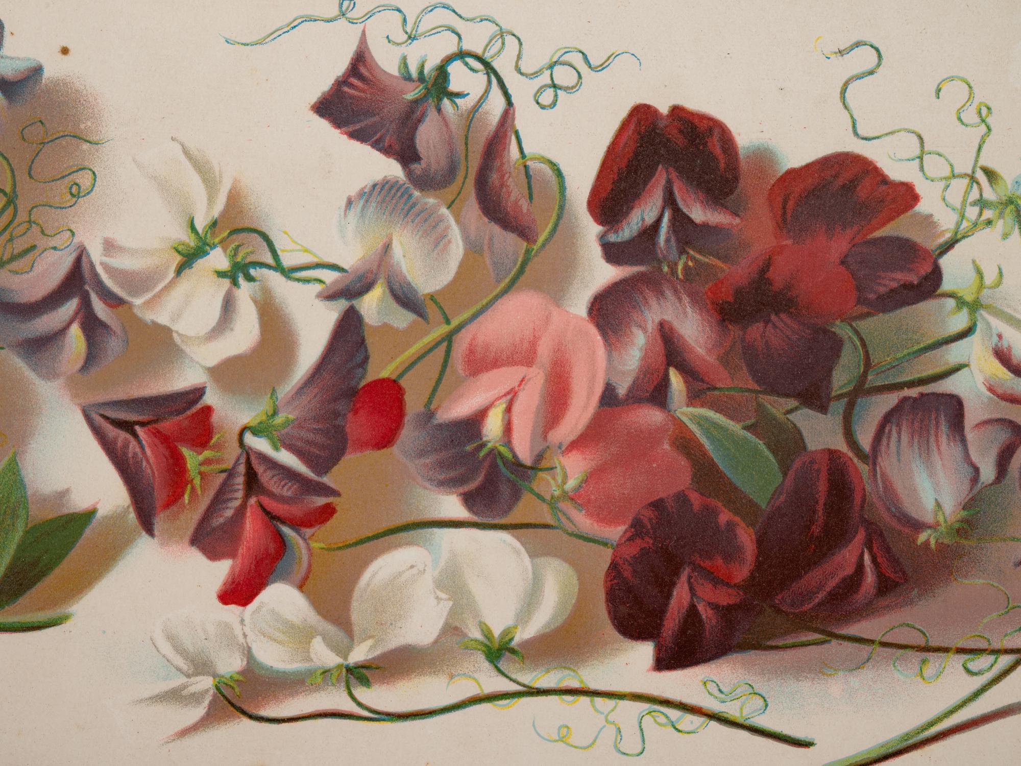 A Group of Four Prints