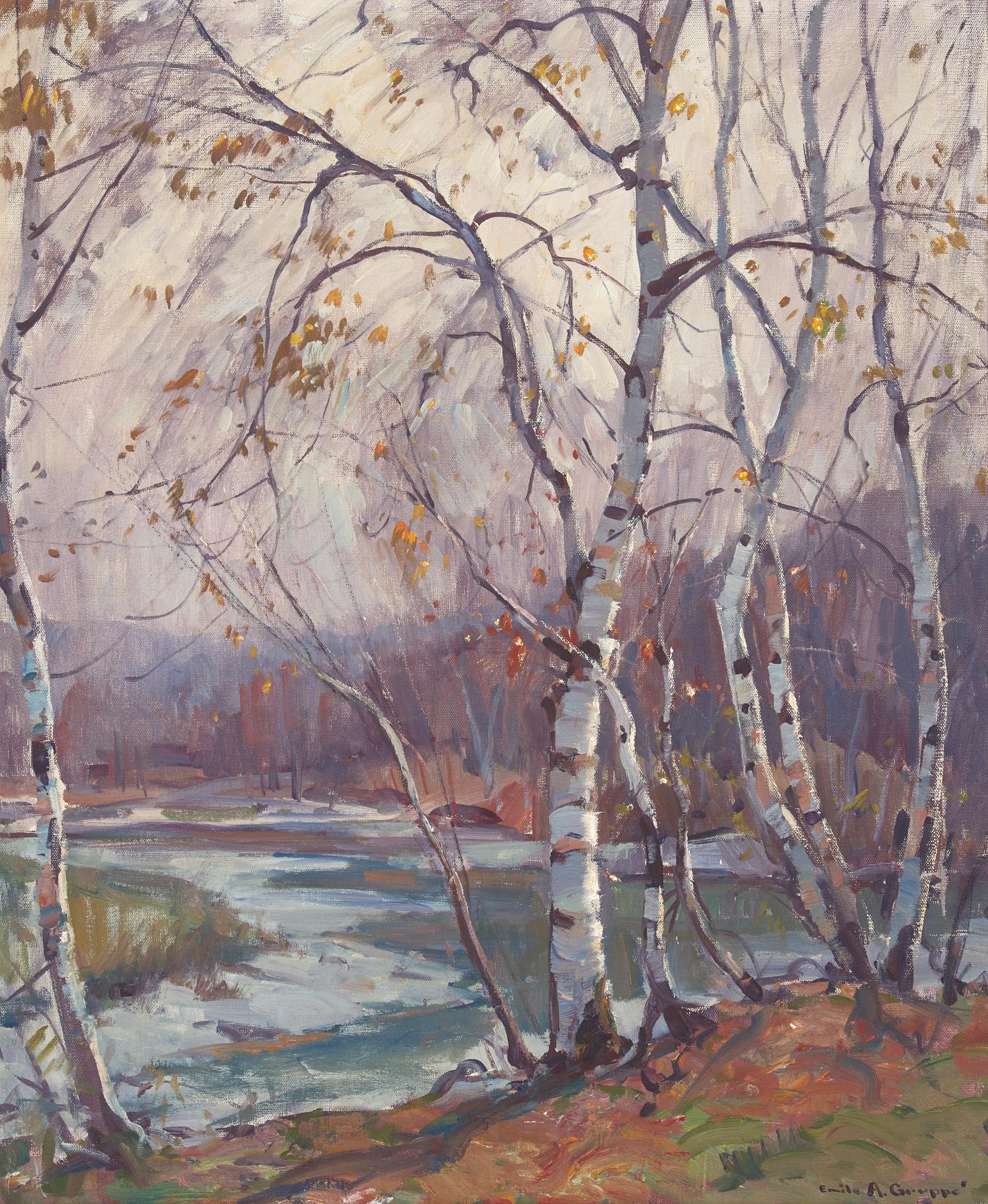 Birches by the Stream