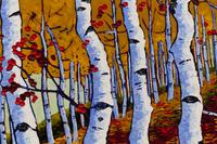 Aspen Trees with Red Autumn Leaves