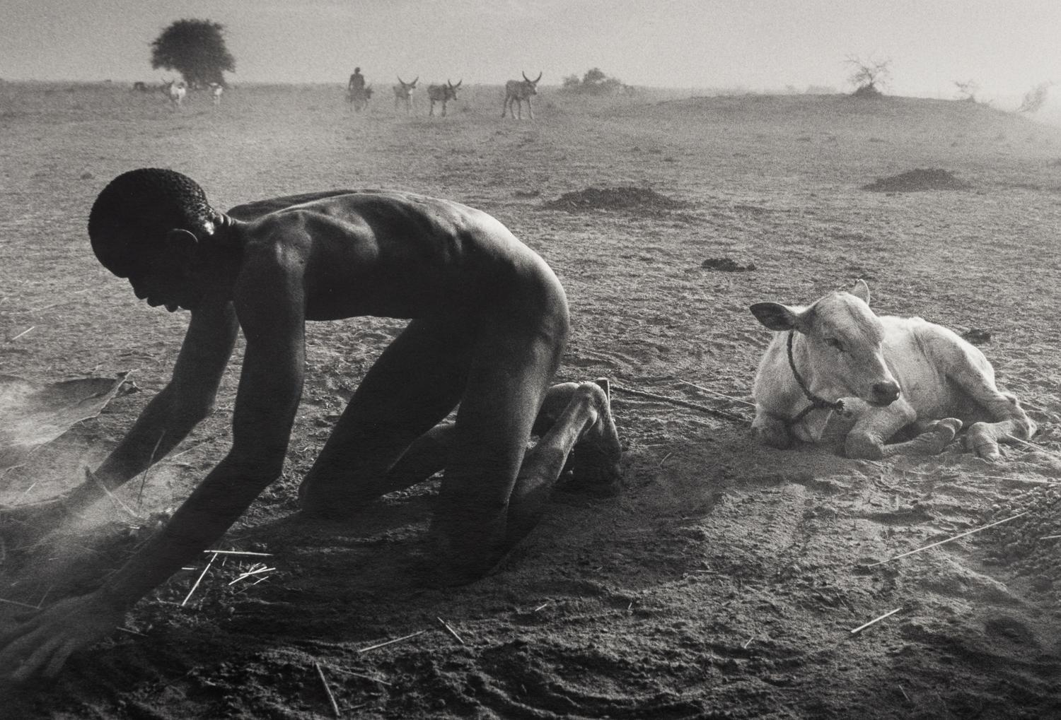Sebastião Salgado (born 1944) Dinka Cattle Camp, Wutliet, Sudan, Africa, 2006