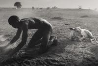 Sebastião Salgado (born 1944) Dinka Cattle Camp, Wutliet, Sudan, Africa, 2006