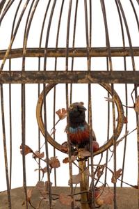 A German Gilt Metal Singing Automaton Bird Cage by Karl Griesbaum