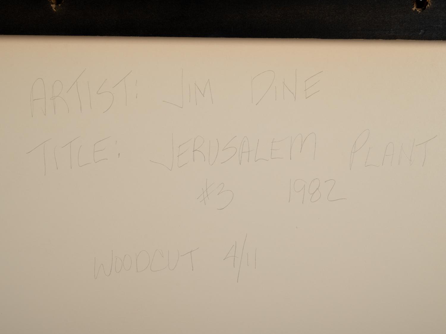 Jerusalem Plant #3