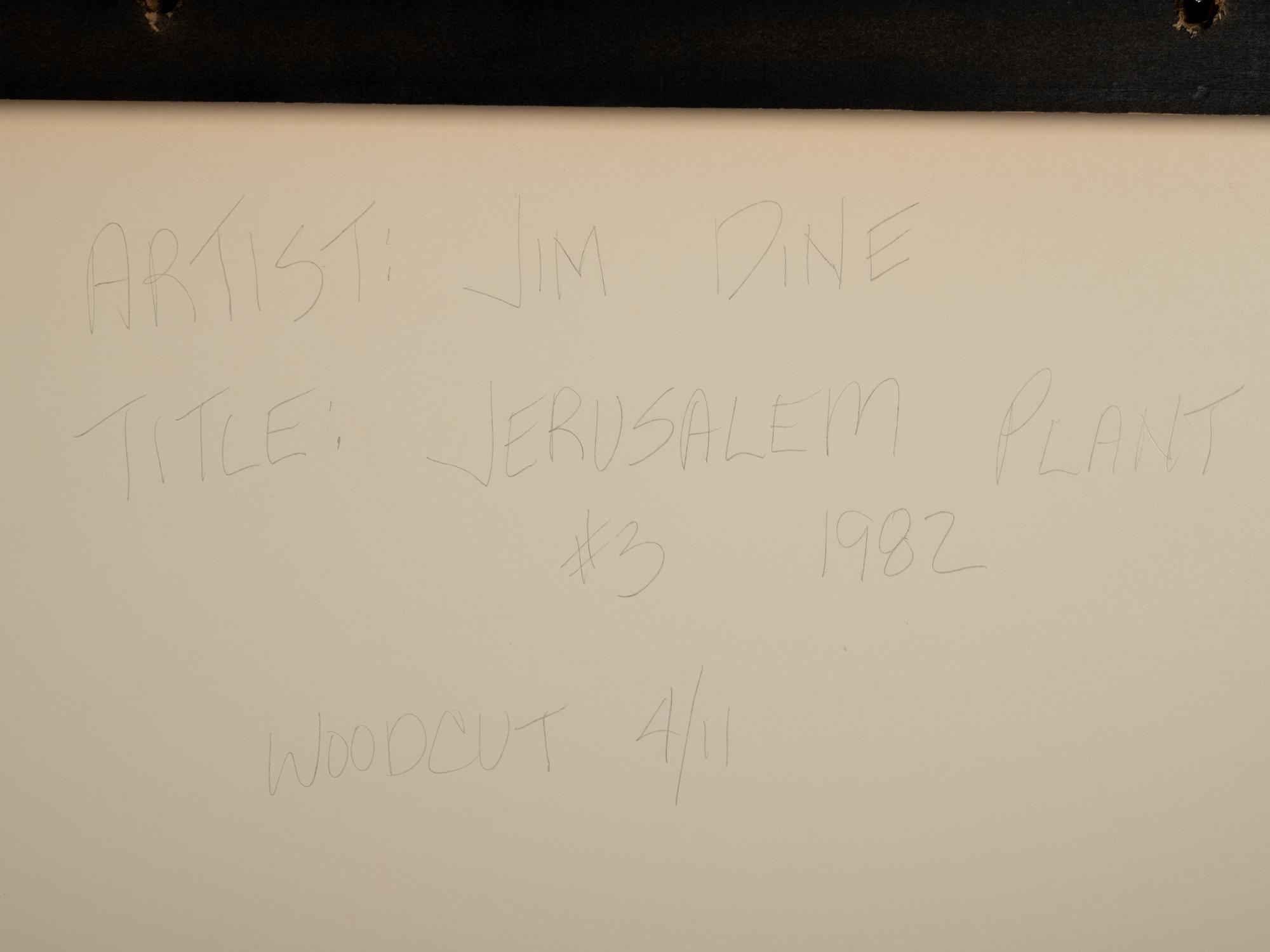 Jerusalem Plant #3