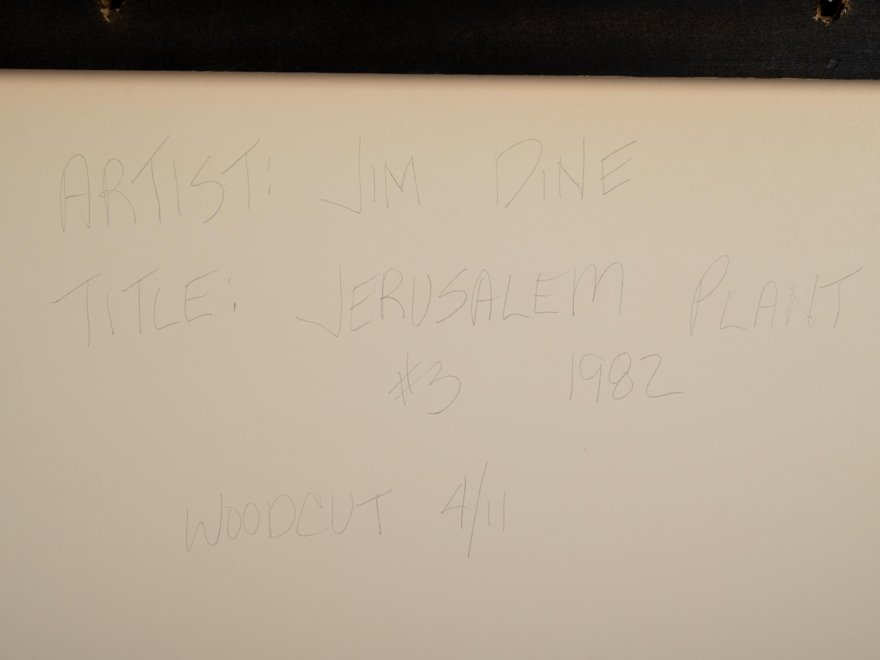 Jerusalem Plant #3