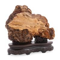 A Lingzhi Fungus