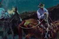 Moonlight Packer