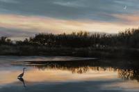 Great Blue Heron , 2003