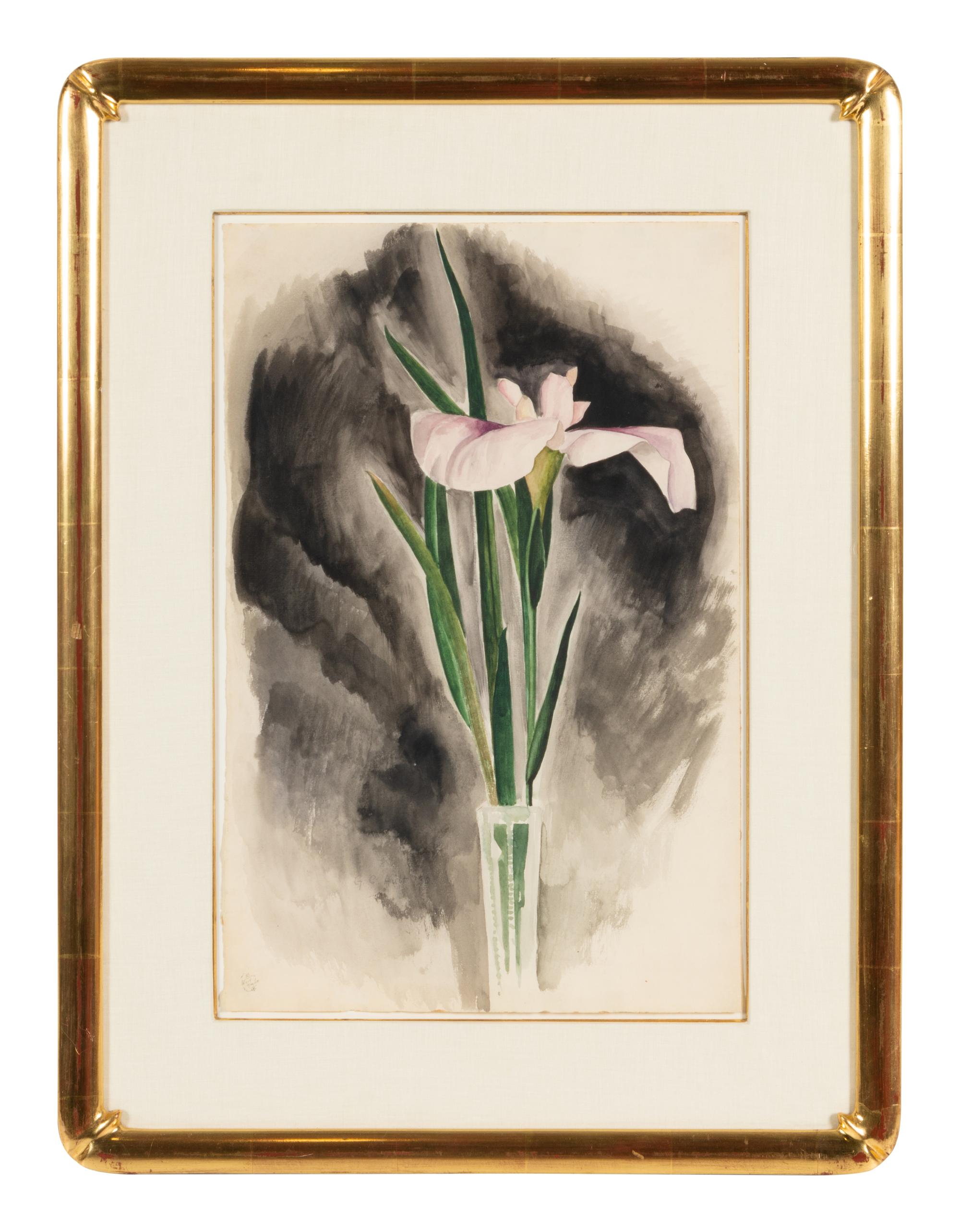 Japanese Iris