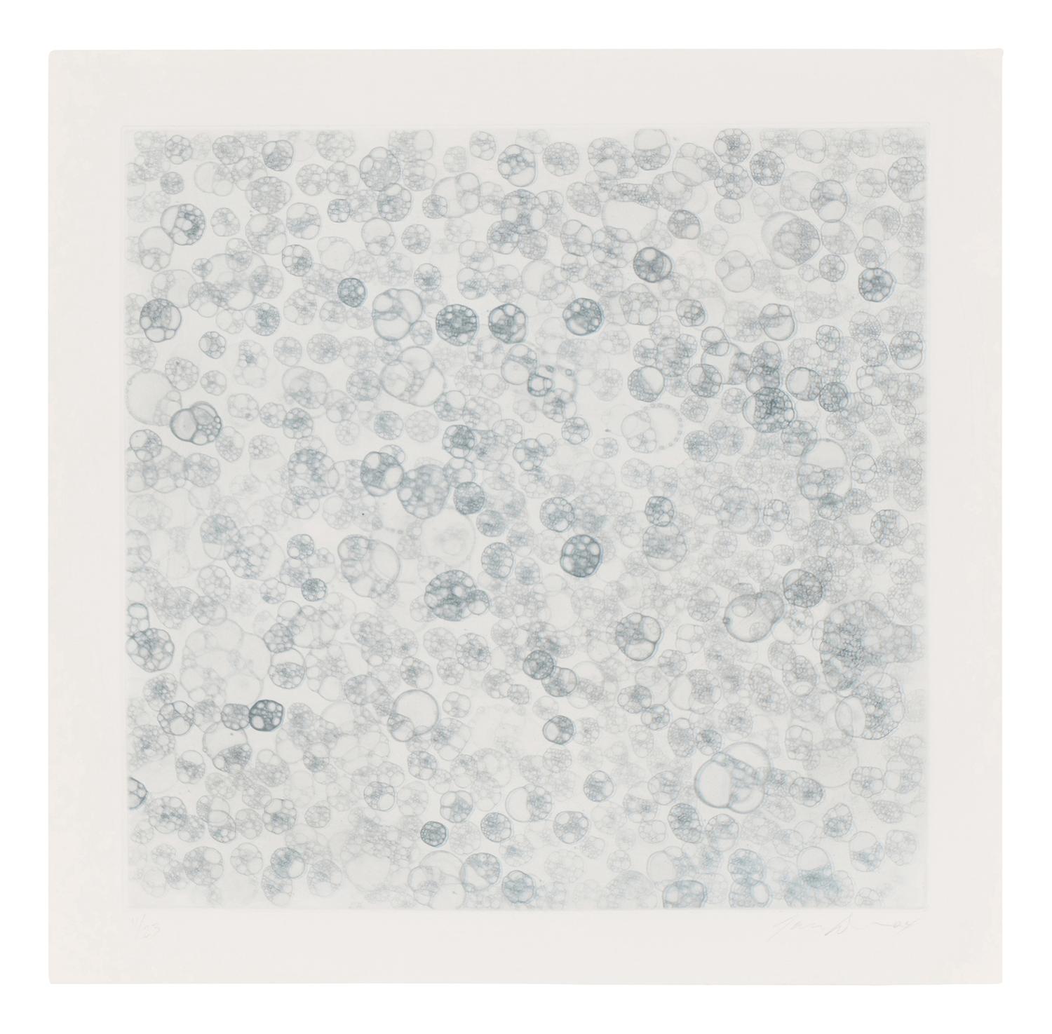 Untitled 1-V (complete set of 5), 2004
