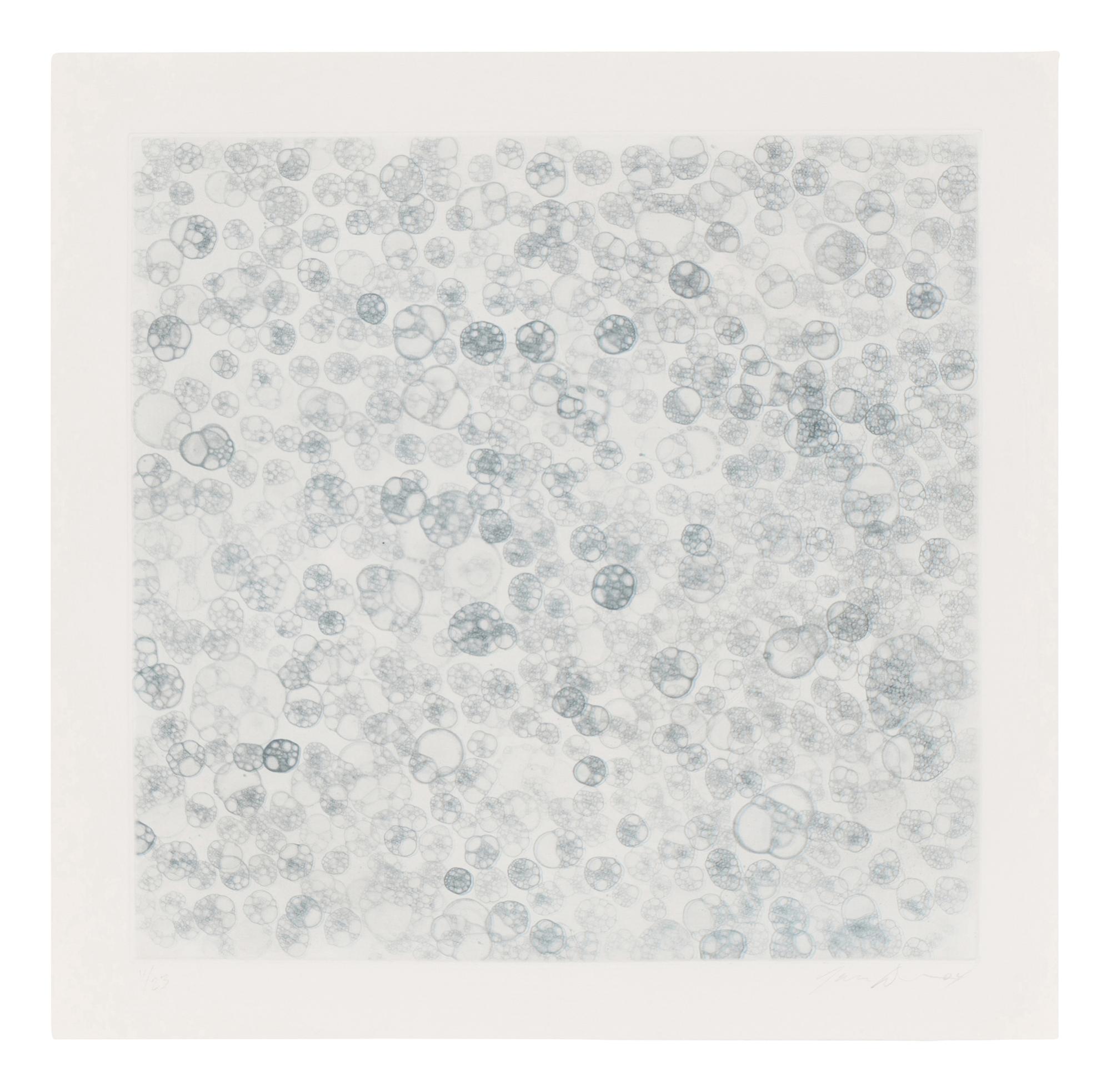 Untitled 1-V (complete set of 5), 2004