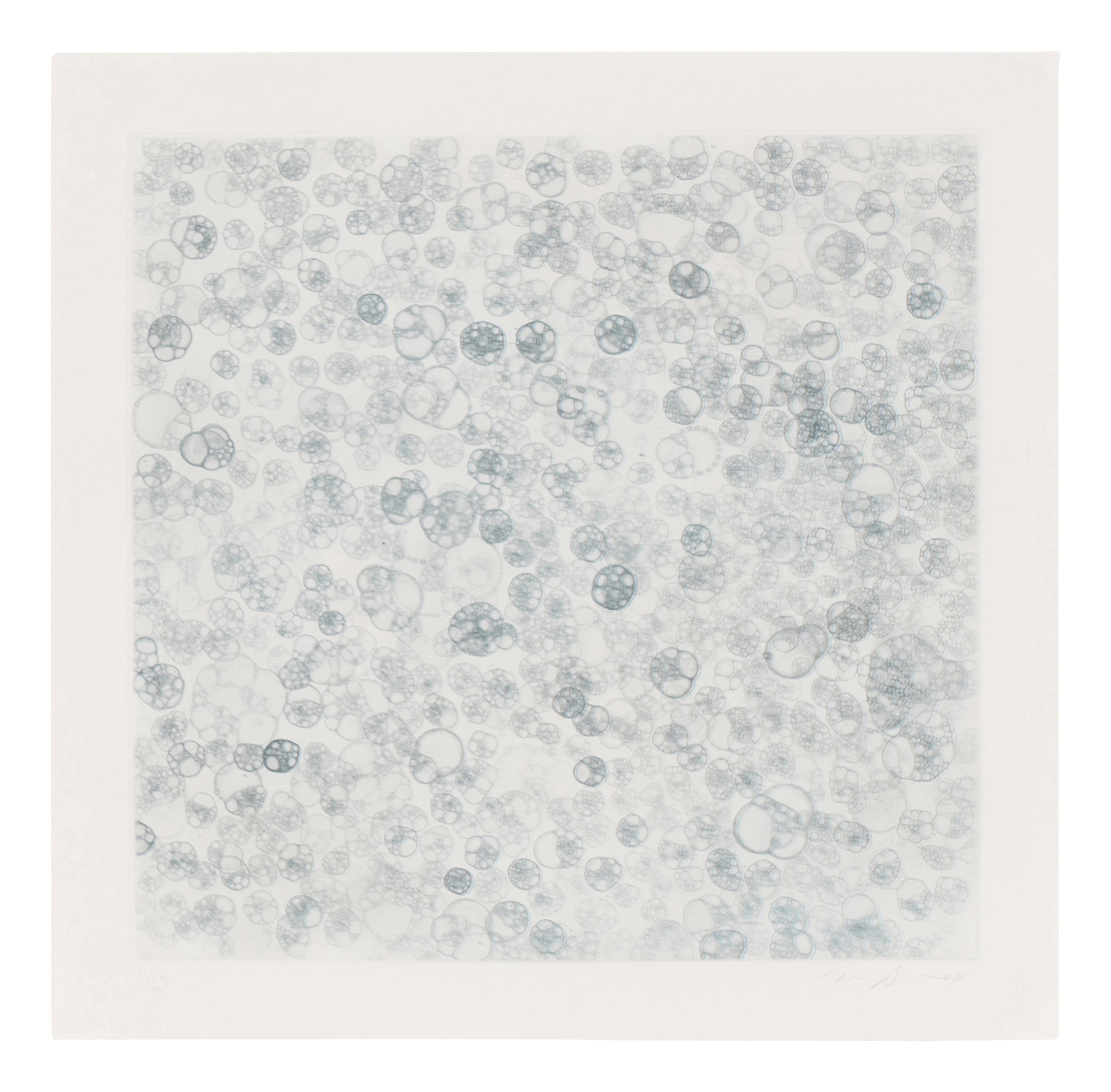 Untitled 1-V (complete set of 5), 2004