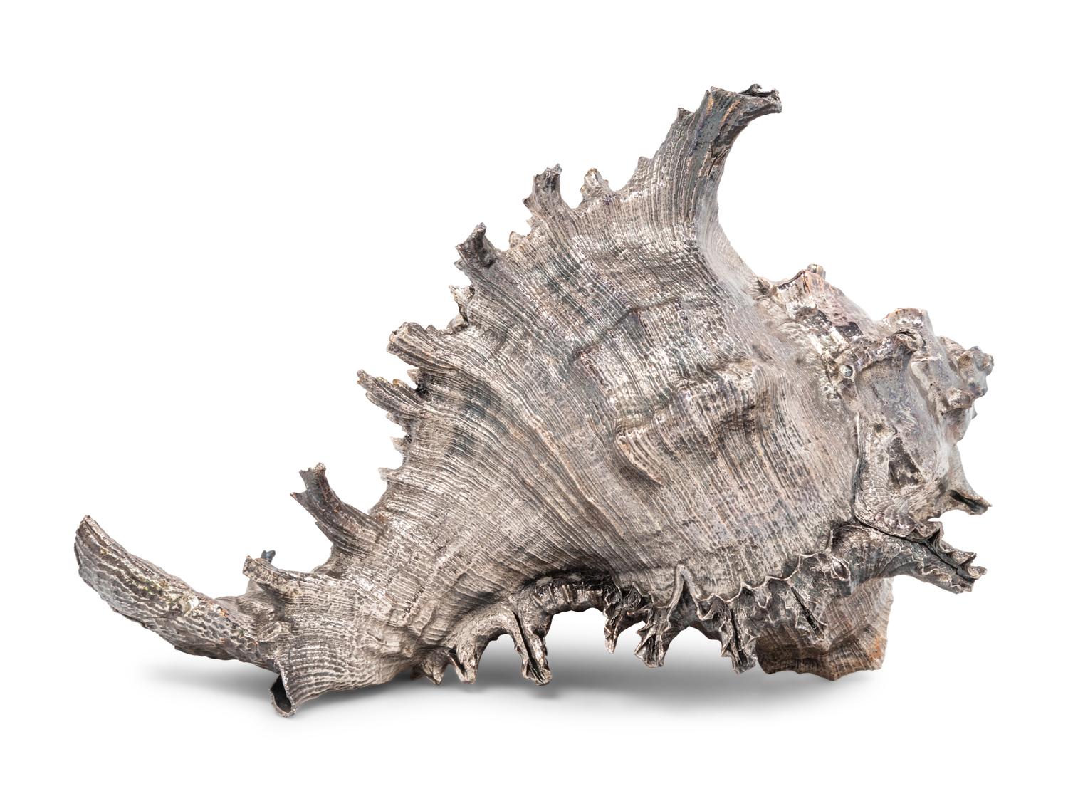 A Verdura Silver-Plate Conch Shell