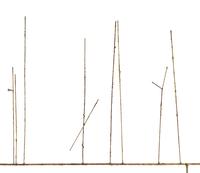 Untitled, c. 1950s