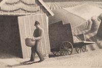 Seed Time and Harvest