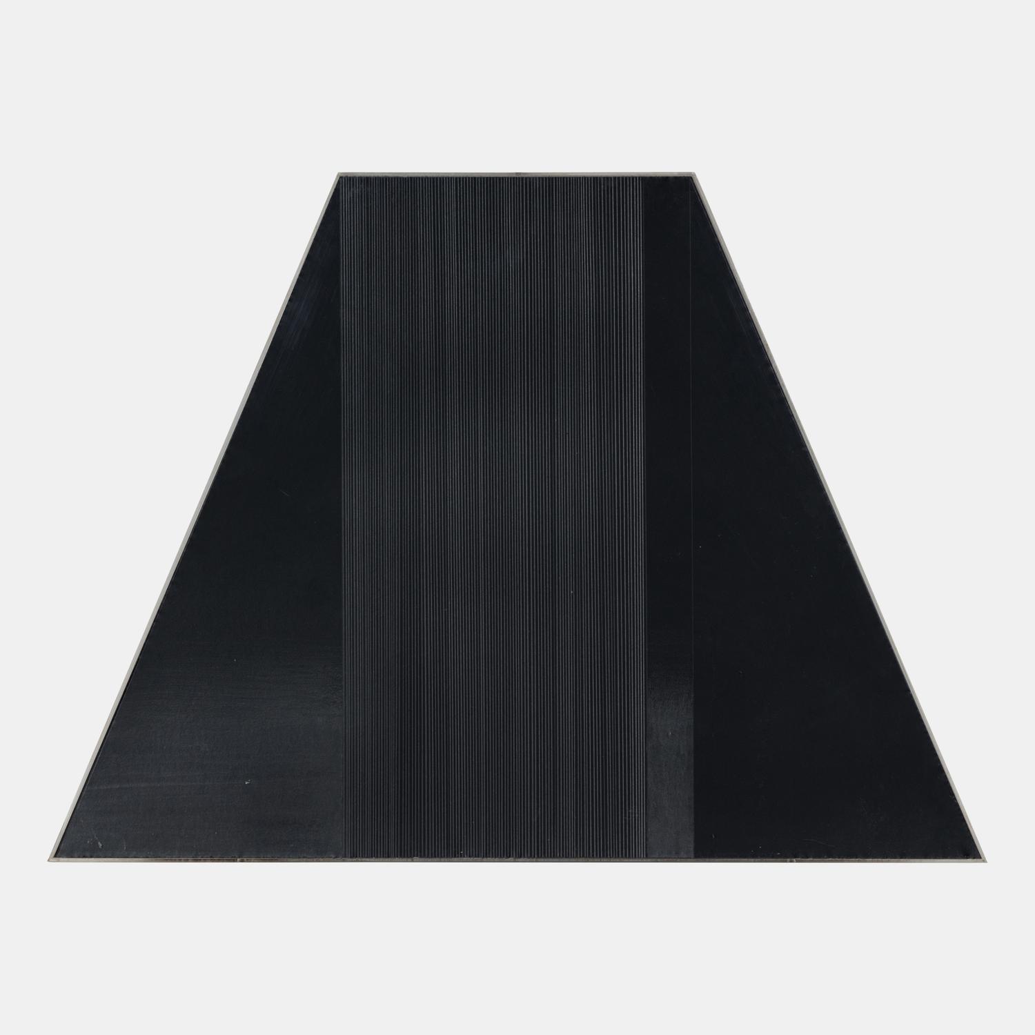 Bild 12/Fur/S,W,B # 4, 1979 (diptych)