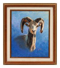 Desert Bighorn