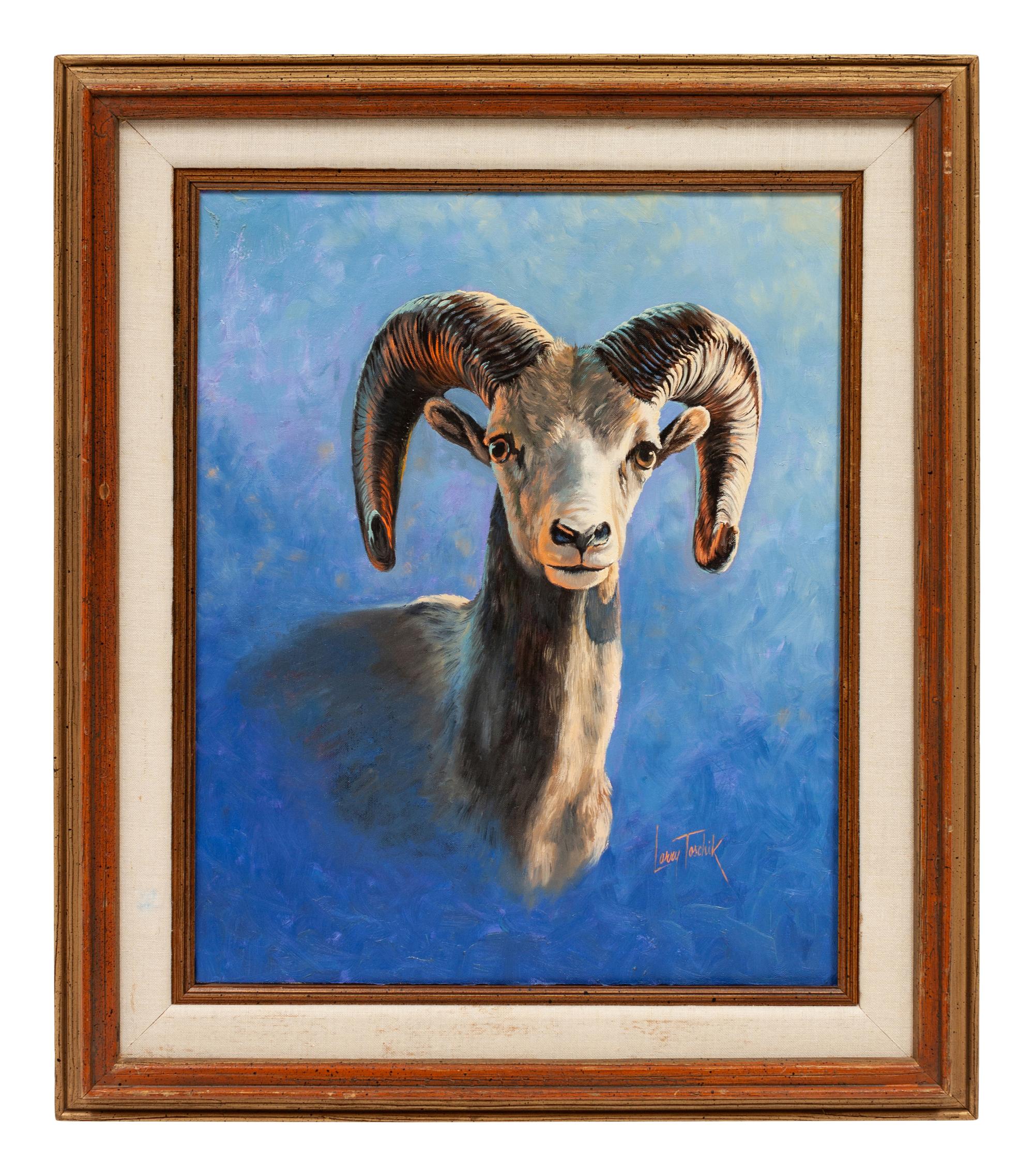 Desert Bighorn