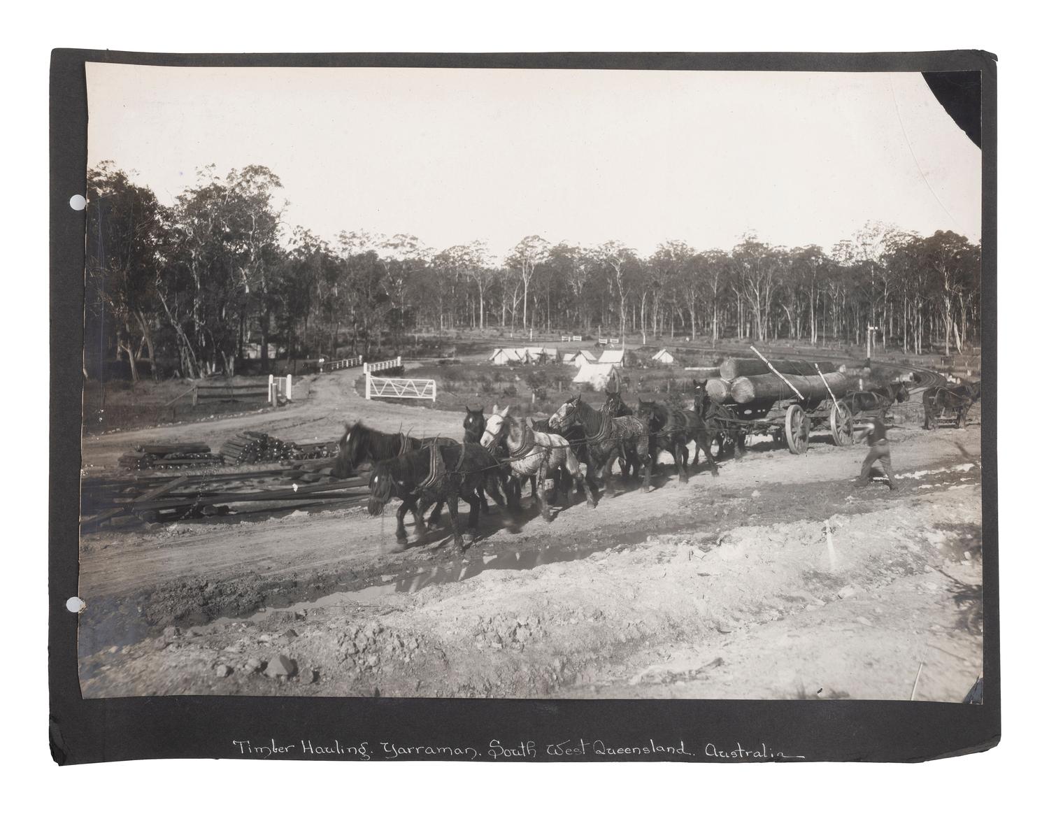 [EARLY PHOTOGRAPHY] -- [AUSTRALIA]. Album containing photographs of Queensland, Australia, incl. images of landscapes, timber hauling, and aboriginal Australians.
