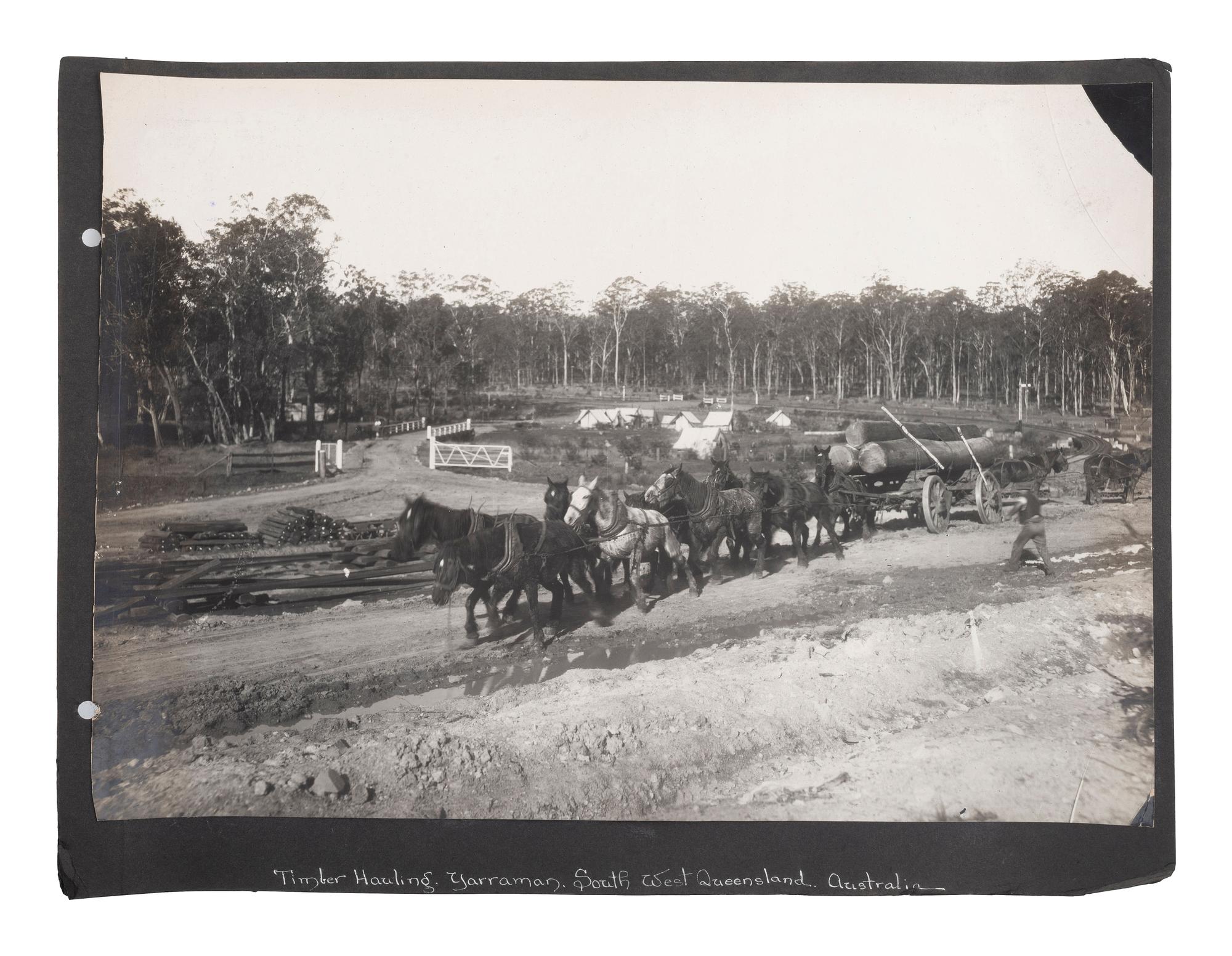 [EARLY PHOTOGRAPHY] -- [AUSTRALIA]. Album containing photographs of Queensland, Australia, incl. images of landscapes, timber hauling, and aboriginal Australians.
