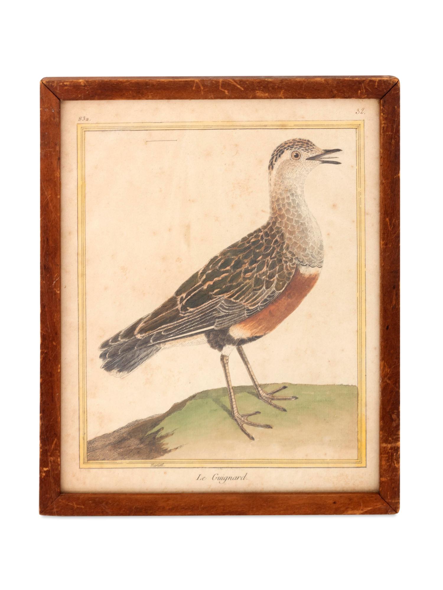 Twelve French Hand-Colored Bird Engravings — Designed and Engraved by Francois Nicolas Martinet (1731-1804); From Histoire Naturelle des Oiseaux by George-Louis Marie Leclere, Comte de Buffon; Printed at the Imprimerie Royale, 1770-1786