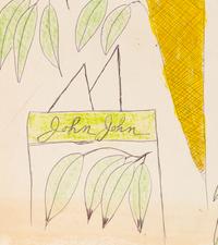 John John and Yellow Canary
