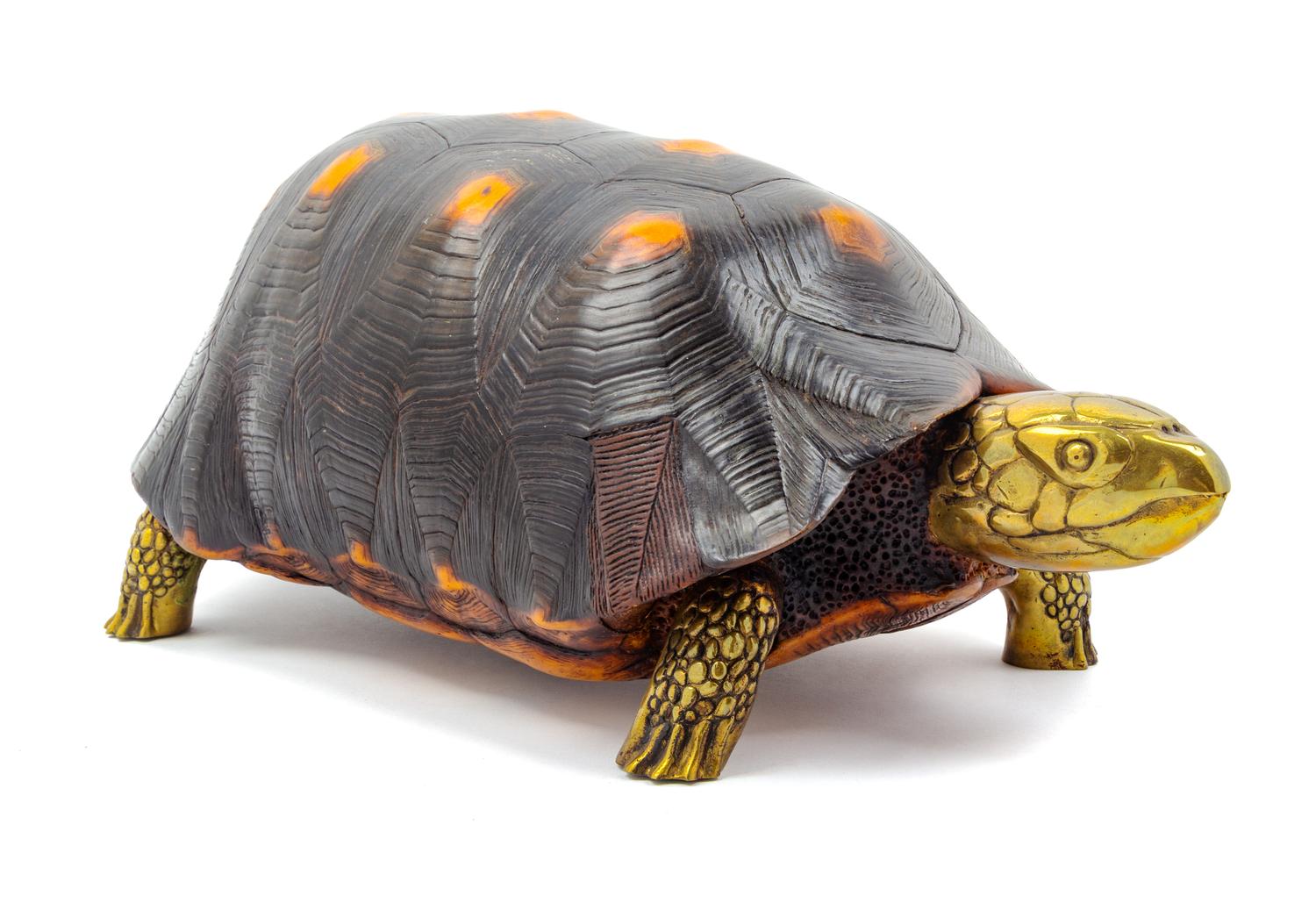 Artist Unknown Untitled (Tortoise) bronze and wood Height 9…