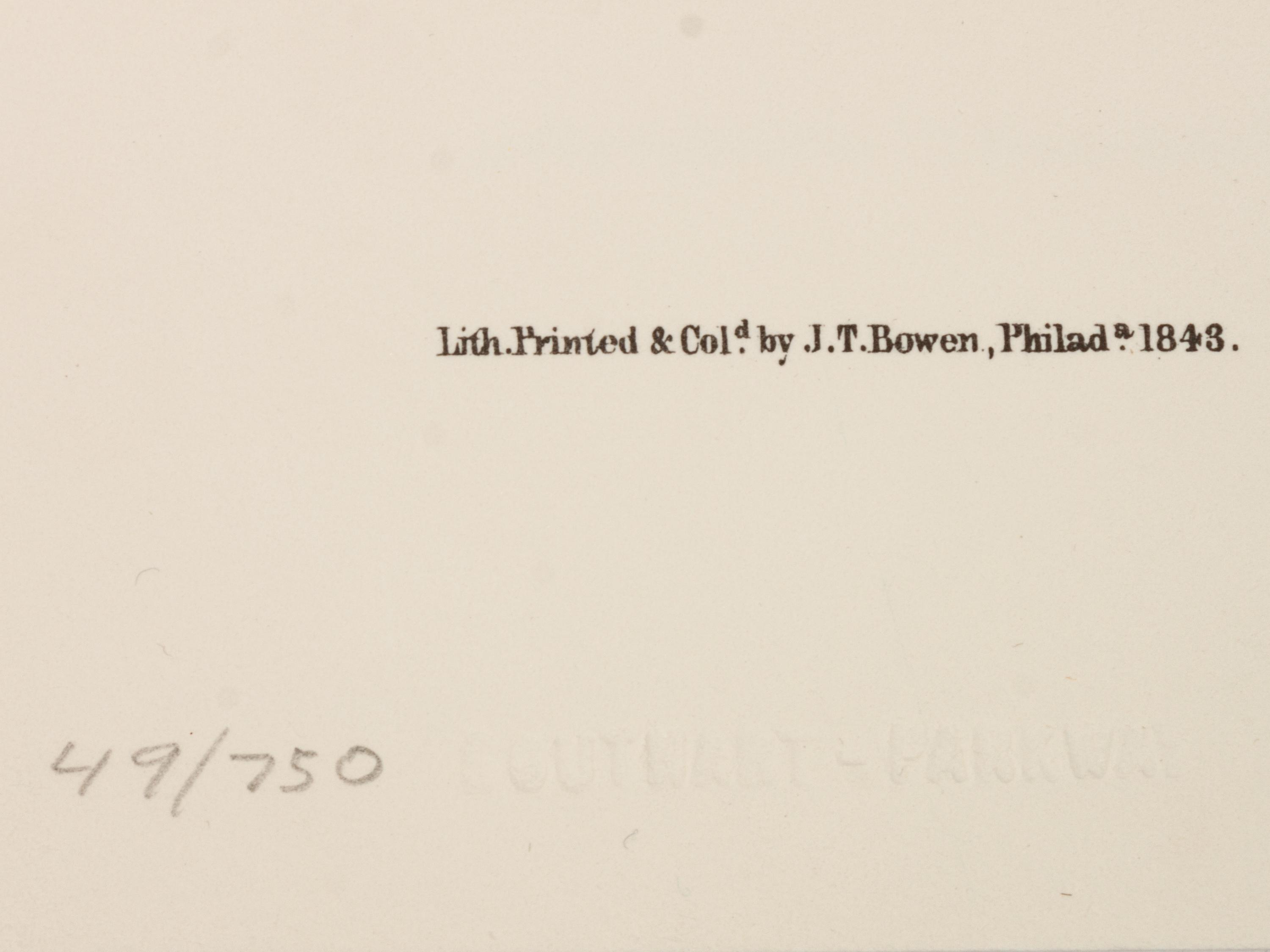 Southart Parkway's Limited Edition Facsimiles from Viviparous Quadrupeds of North America; Set Two: Audubon Mammals of the Southeast