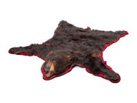 A Taxidermy Brown Bear Rug