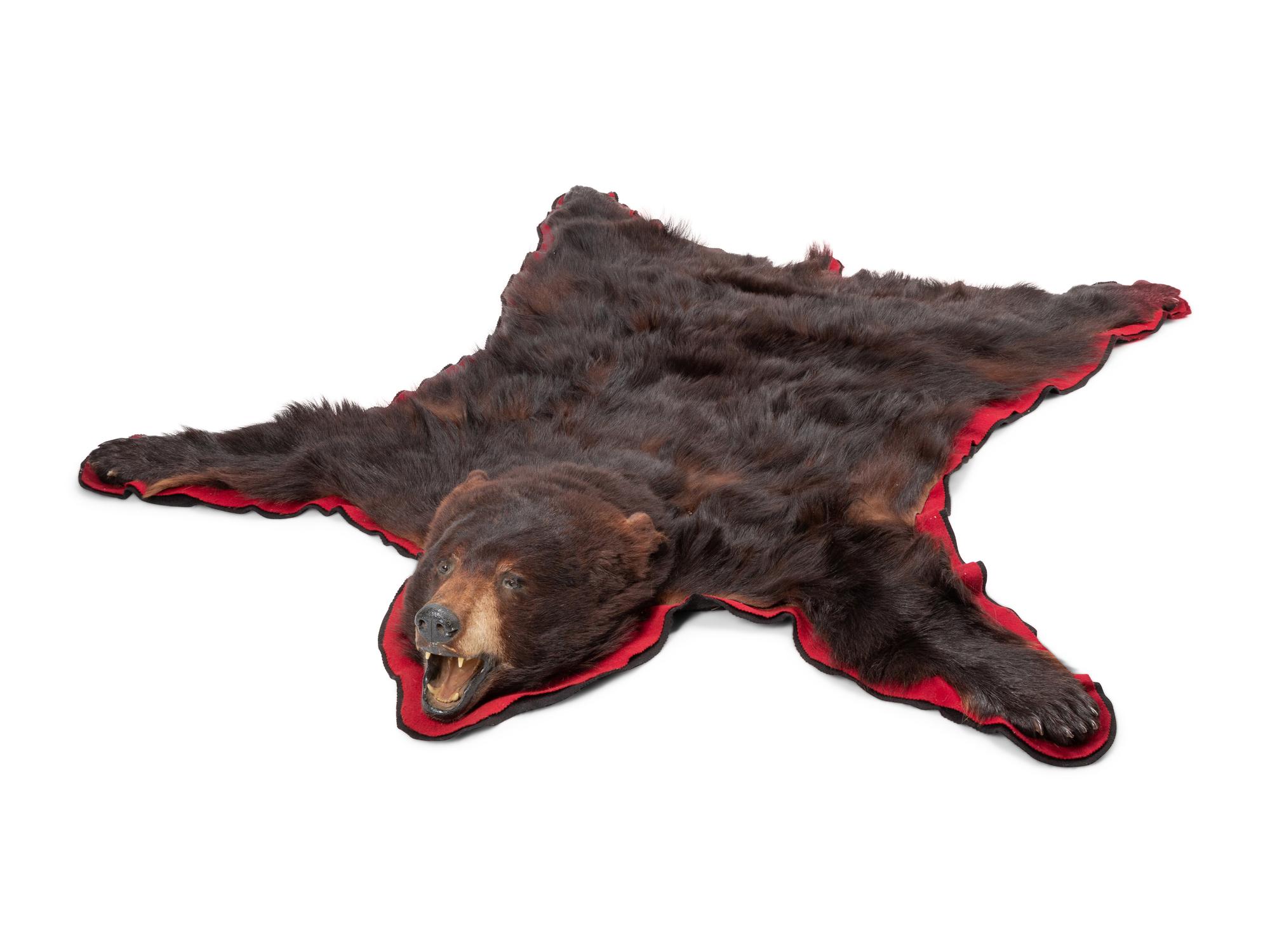 A Taxidermy Brown Bear Rug