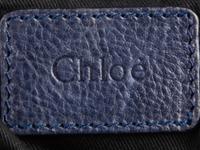 Chloé Paraty Bag Python