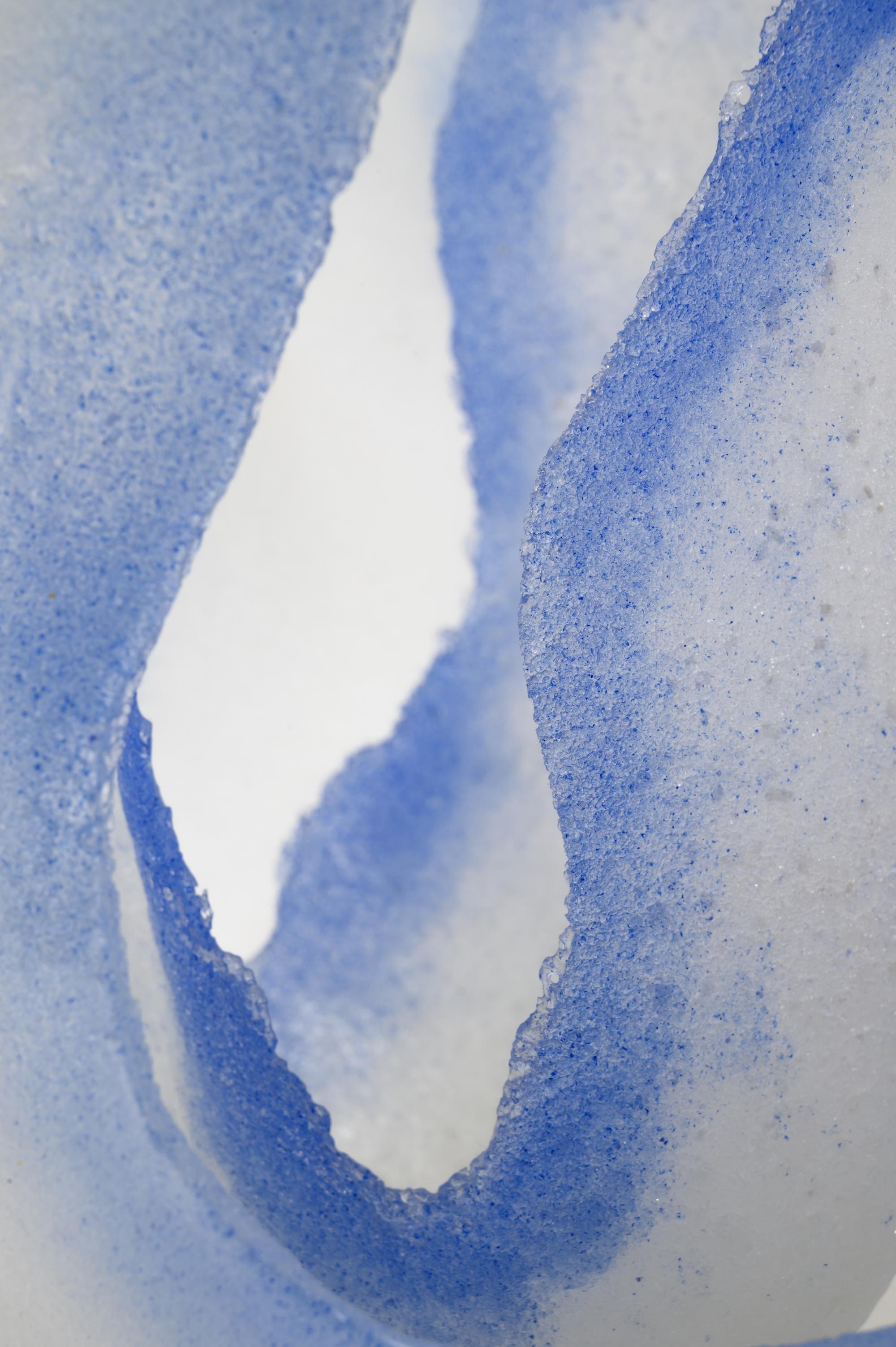 Blue Iris , 2007