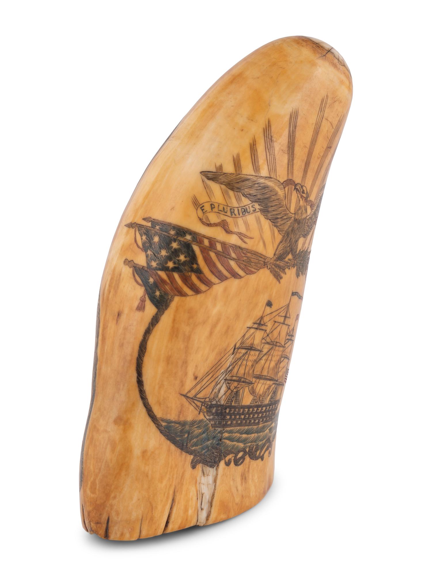 A Scrimshaw Tooth with Polychrome Depiction of the USS Pennsylvania