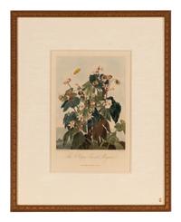 [NATURAL HISTORY]. THORNTON, Robert John (1768-1837). A group of 6 botanical plates from Thornton's 1812 quarto edition Temple of Flora . [London: for the author, 1812].