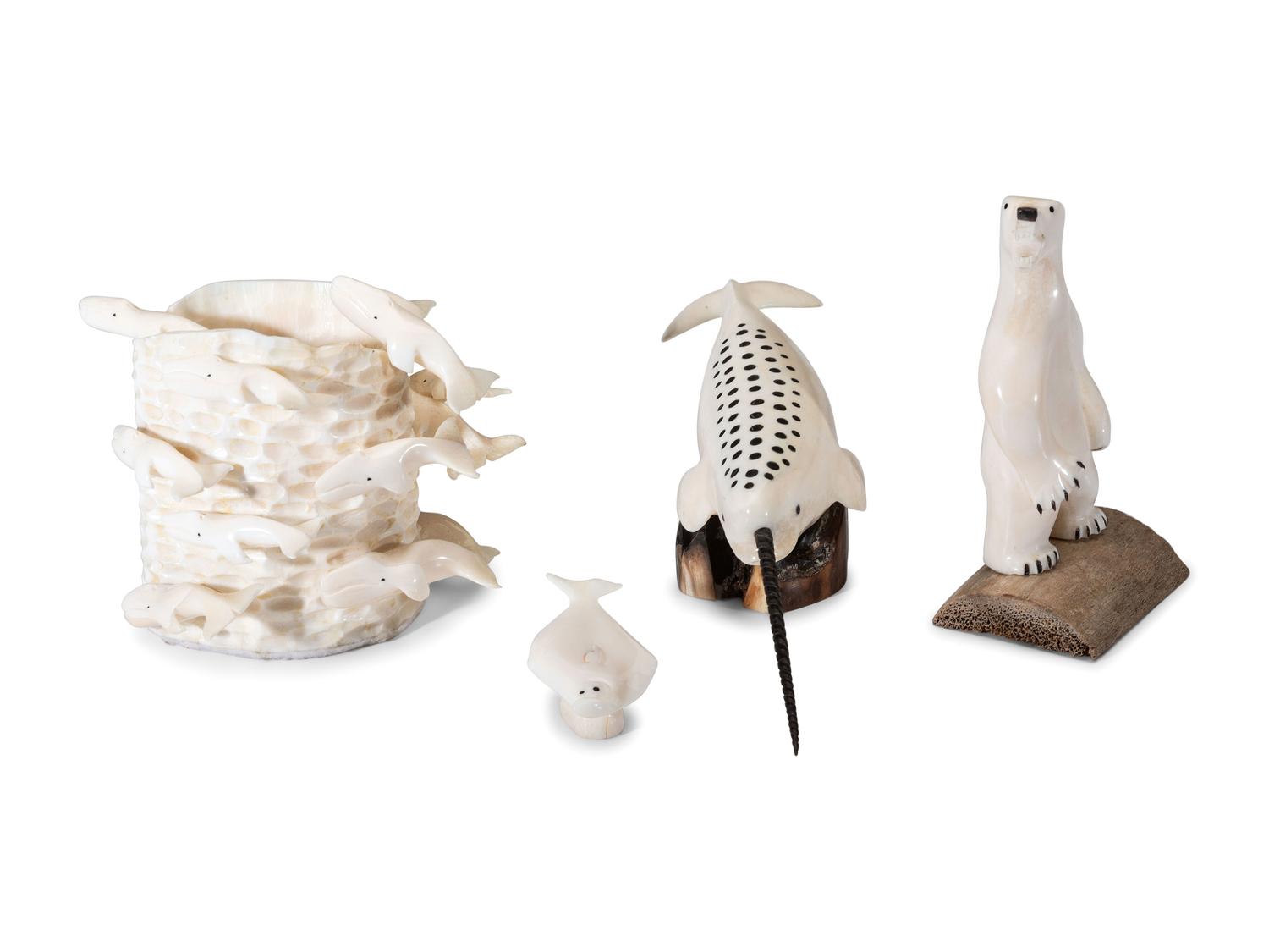Collection of Arctic Sea Life