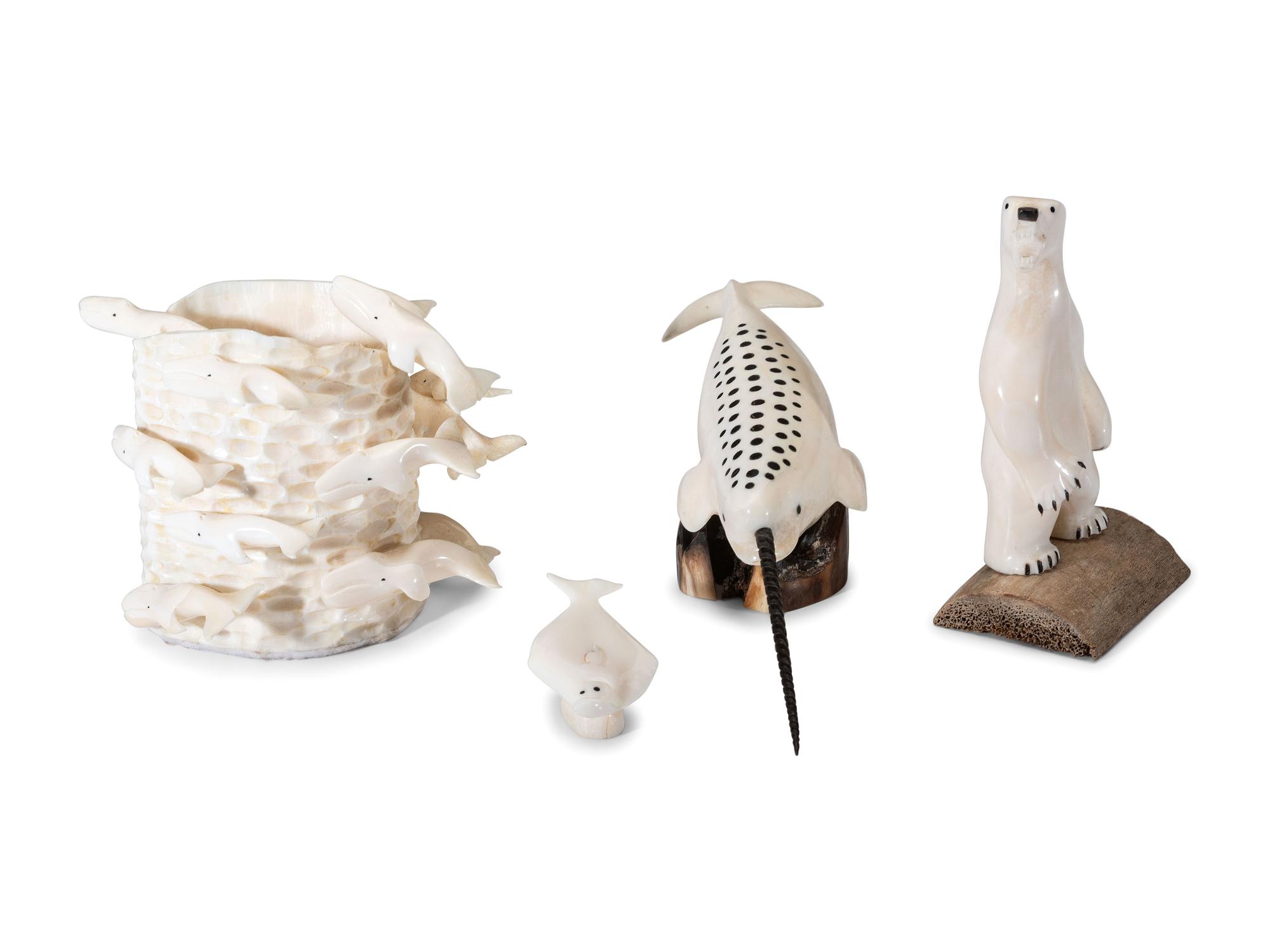 Collection of Arctic Sea Life