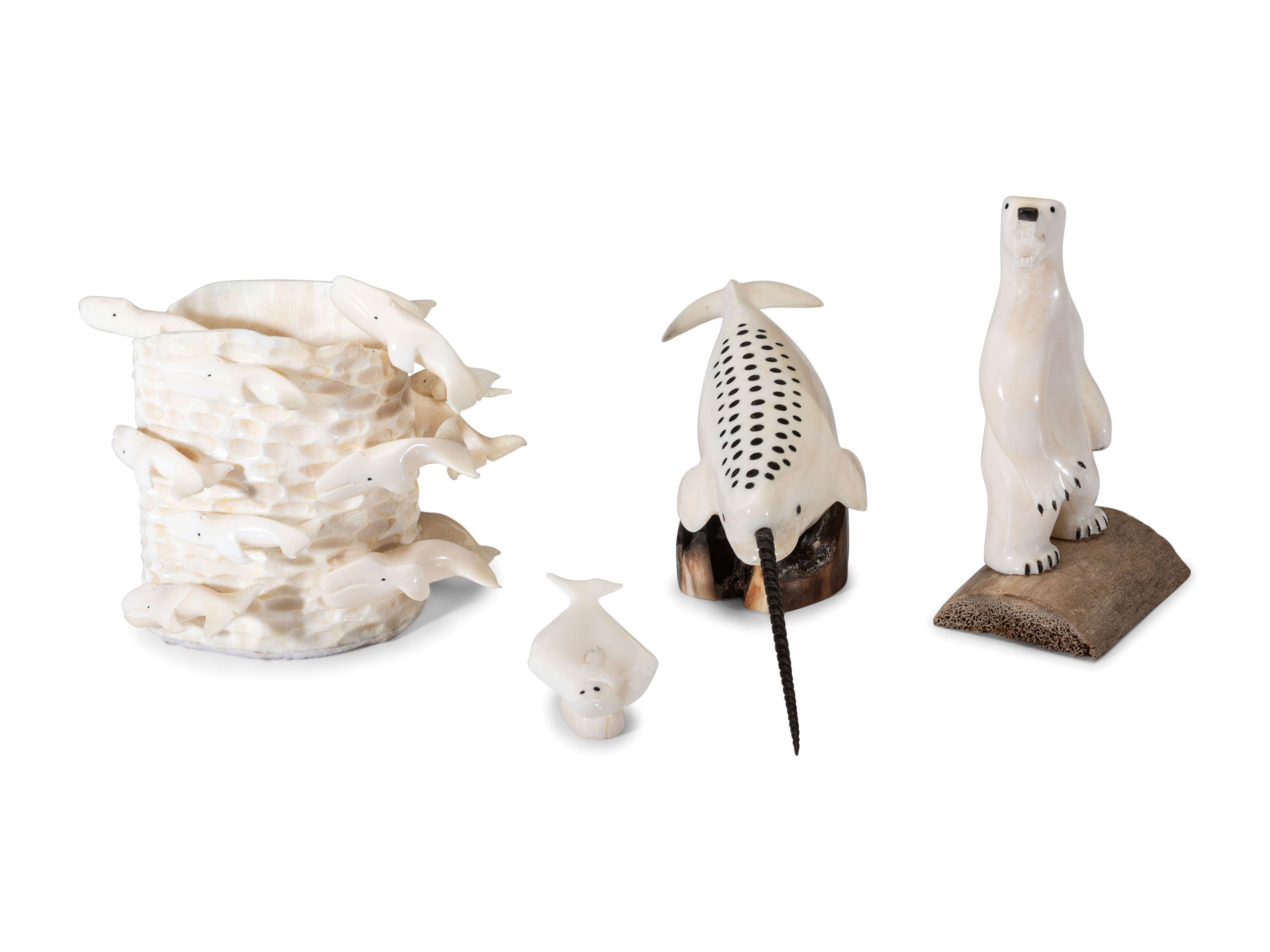 Collection of Arctic Sea Life