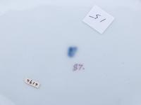 A Continental Painted and Parcel Gilt Porcelain Cabinet Plate