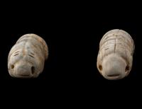 Two Chinese Jade Silkworms