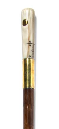 A Horn Mounted Measuring Walking Stick, Height overall 38 1/2 x height of handle 3 1/2 inches.