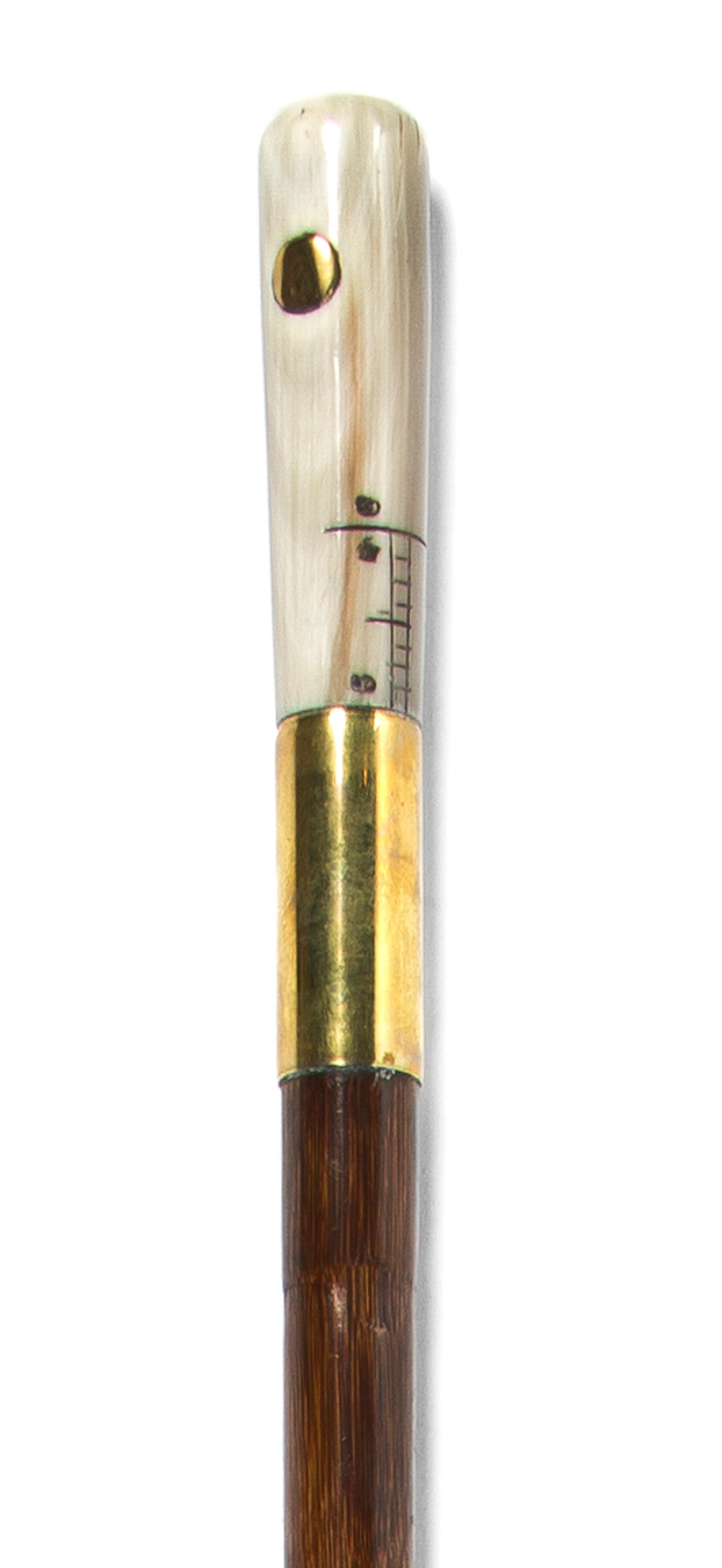 A Horn Mounted Measuring Walking Stick, Height overall 38 1/2 x height of handle 3 1/2 inches.