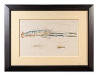 A Set of Three Framed Hand-Colored Lobster Engravings — AFTER F.D. HEIDENRICH, 20TH CENTURY
